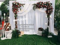 Backgound cổng cưới trang trí rèm màng sinh động