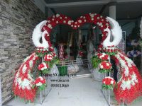 Mua cổng hoa chim công