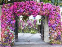 Bán cổng hoa đẹp giá rẻ