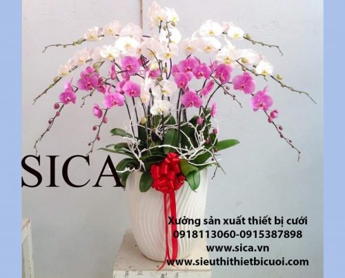 Sĩ lẻ các mẫu chậu hoa giá rẻ đẹp