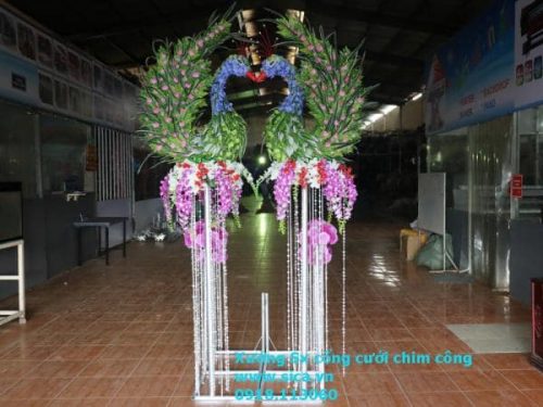 Mẫu chim công mới nhất